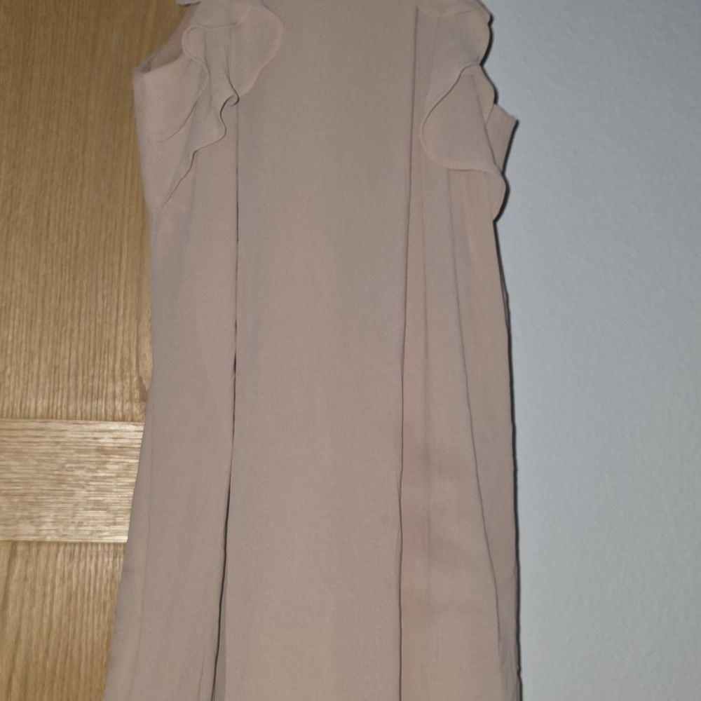 Naked Zebra Blush Pink Ruffle Dress NWT